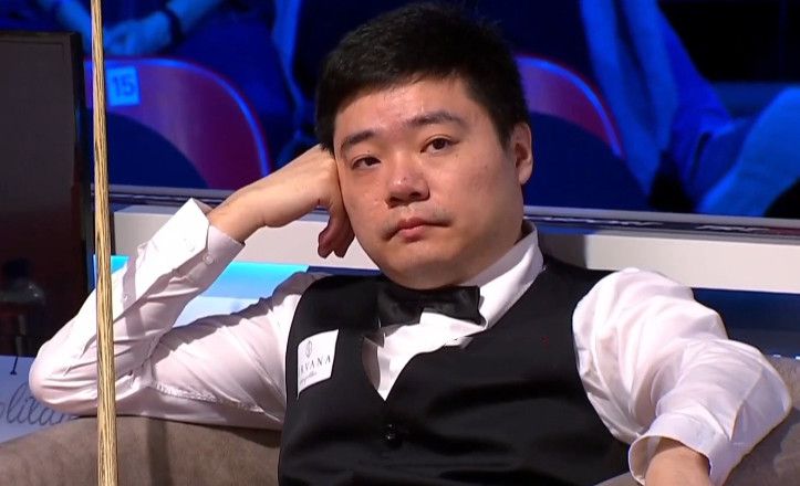 人与畜禽狗